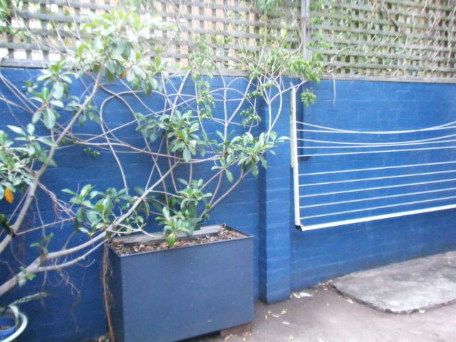 MOMENTS WALK TO EVERYTHING | VIEW THIS SATURDAY 23/01/10 BETWEEN 1:35-1:50 PM Picture 3