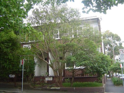 SO MUCH ROOM TO MOVE Picture