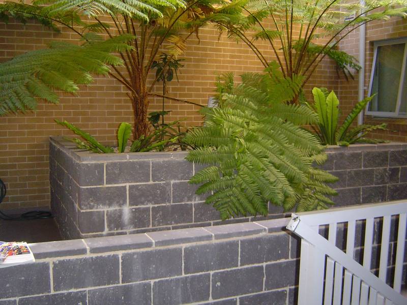 KING STREET DELIGHT | VIEW SATURDAY 28/11/09 BETWEEN 11:00-11:15 AM Picture 2