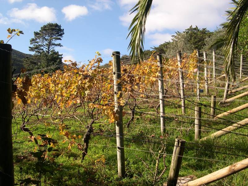 Barrier Oasis Lodge - Business for Sale - Guest House/B&B Picture 3