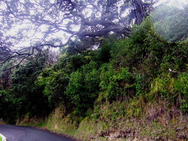 Unbeatable Value Picture 1