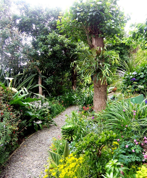 Manuka Lodge B & B Picture 2