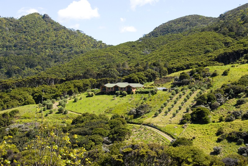 Earthsong Lodge - Business for Sale - Guest House/B&B Picture 3