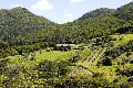 Earthsong Lodge - Business for Sale - Guest House/B&B Picture