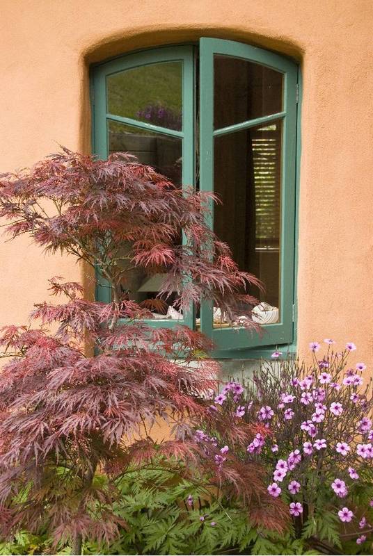 Earthsong Lodge Picture 3