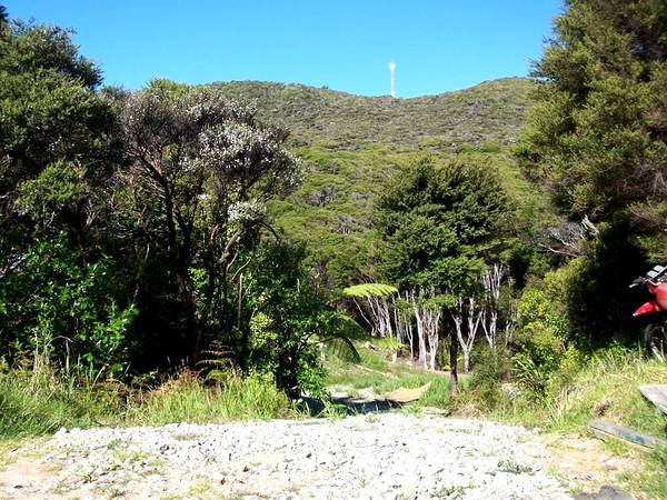 Sea Views, Bush and Privacy - walk to the beach. Picture 3