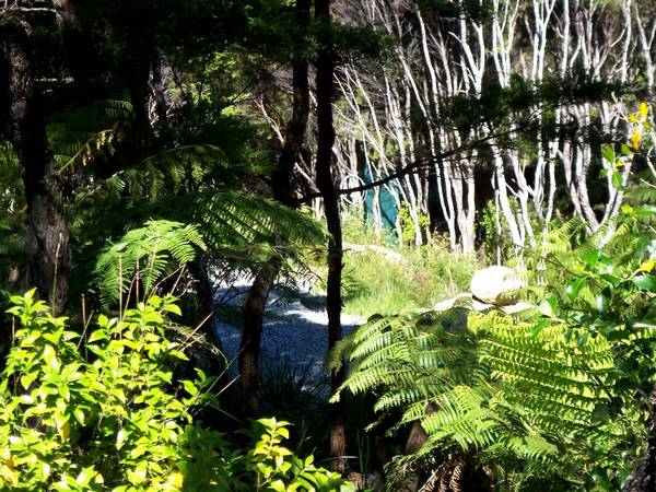 Sea Views, Bush and Privacy - walk to the beach. Picture 2