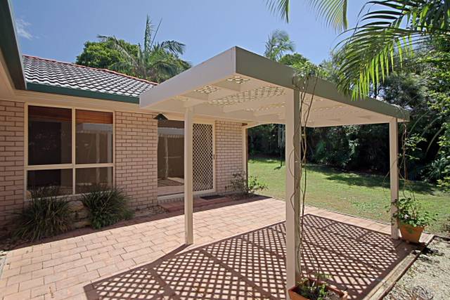 Light and Bright Picture 1