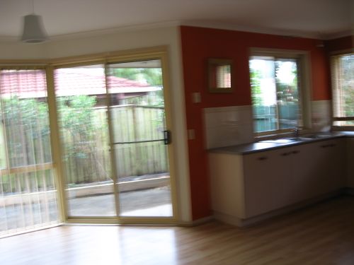 5 Ribbonwood Picture 5 Ribbonwood Picture