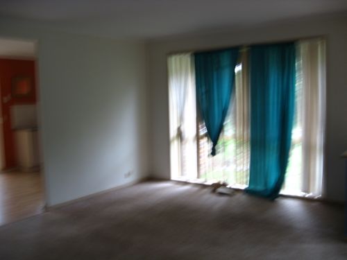 5 Ribbonwood Picture 5 Ribbonwood Picture