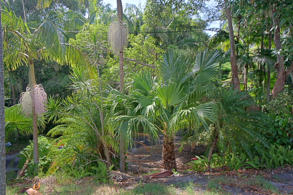 Lighthouse Road Picture 3