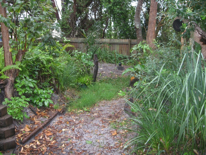 SUNRISE BEACH Picture 2