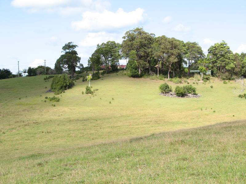 Mullumbimby Picture 2