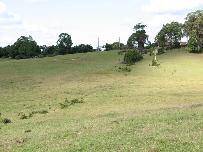 Mullumbimby Picture 3