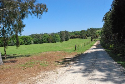 Bangalow Picture