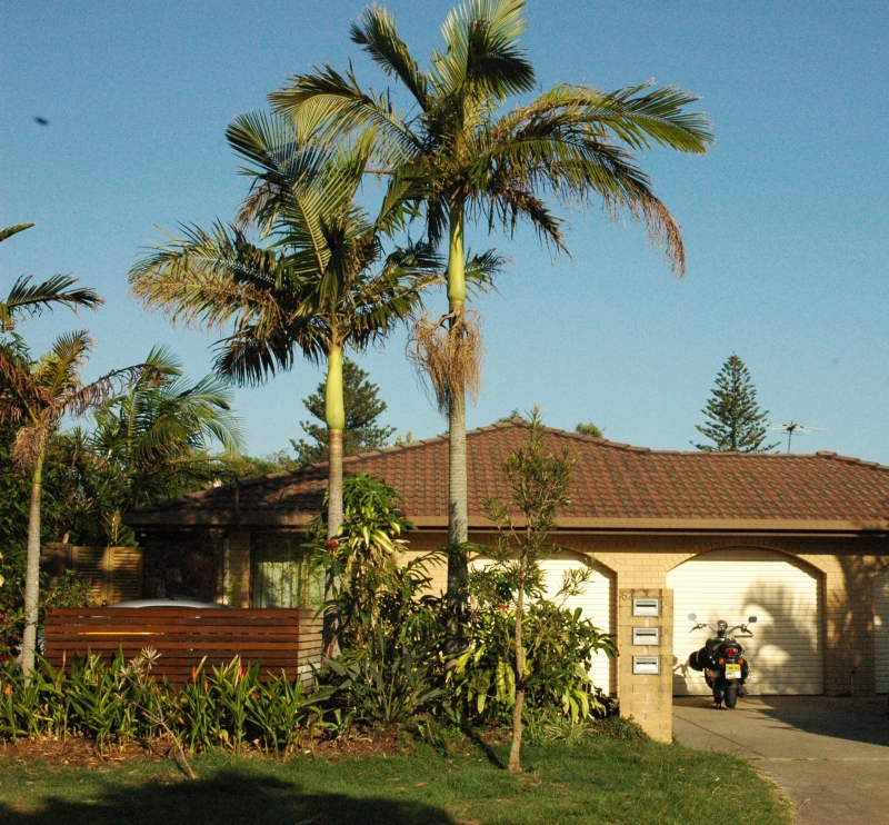 Beachside Suffolk Park Picture 2