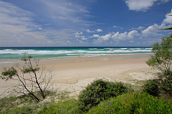 Beachfront Suffolk Park Picture 2