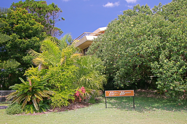 Lighthouse Road Picture 2