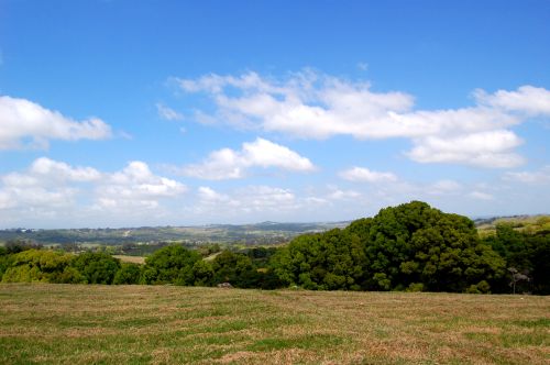 Prestigious Possum Creek land Picture 1