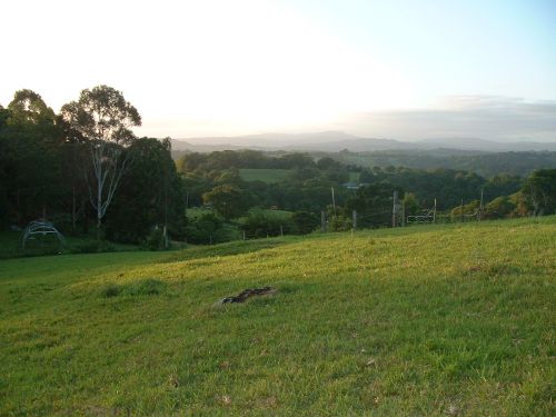 Prestigious Possum Creek land Picture 3