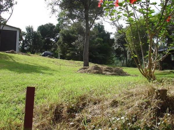 Established Section Plus Large Shed on Site Picture 3