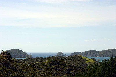 Coastal Point of View - PAROA BAY NEAR RUSSELL BAY OF ISLANDS Picture