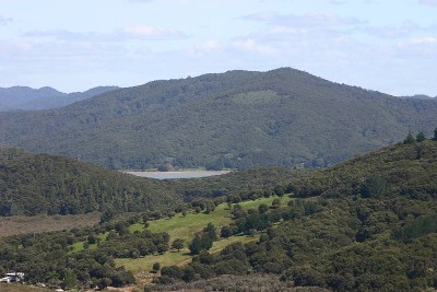 Private Retreat -
PAROA BAY NEAR RUSSELL BAY OF ISLANDS Picture