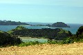 Private Retreat - PAROA BAY NEAR RUSSELL BAY OF ISLANDS Picture