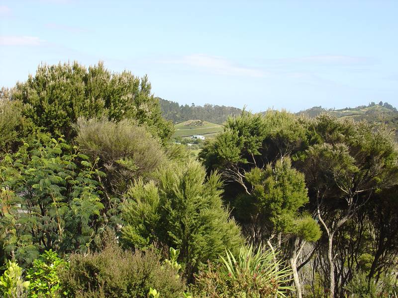 Majestic Orongo Bay - RUSSELL Picture 2