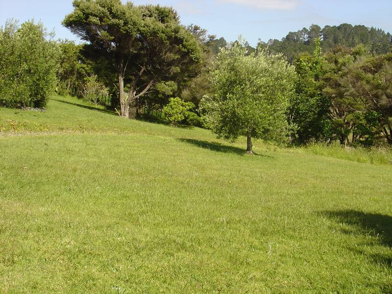 URUTI
BAY
VIEWS AND PICTURESQUE PASTORAL BLEND (Russell Bay of Islands) Picture 1