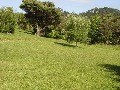 URUTI
BAY
VIEWS AND PICTURESQUE PASTORAL BLEND (Russell Bay of Islands) Picture