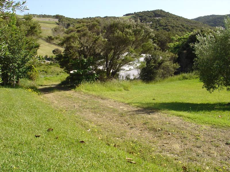 URUTI
BAY
VIEWS AND PICTURESQUE PASTORAL BLEND (Russell Bay of Islands) Picture 2