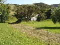 URUTI
BAY
VIEWS AND PICTURESQUE PASTORAL BLEND (Russell Bay of Islands) Picture