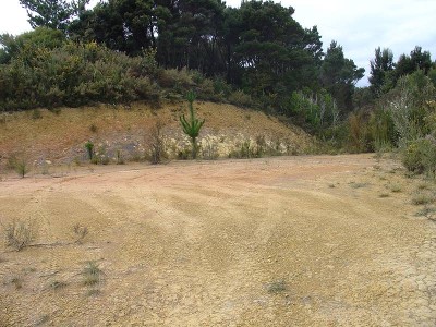 TE WAHAPU - DREAM SITE Picture