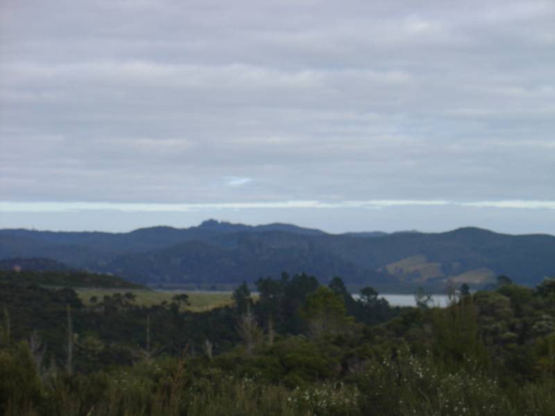 TE WAHAPU - DREAM SITE Picture 2