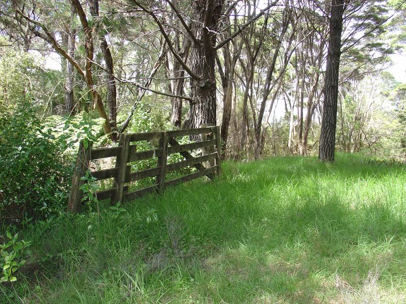 Two Adjoining North Facing Sites- RUSSELL EXCLUSIVE Picture 1