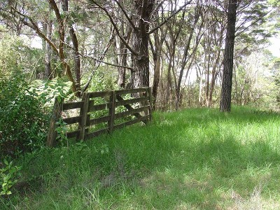 Two Adjoining North Facing Sites- RUSSELL EXCLUSIVE Picture