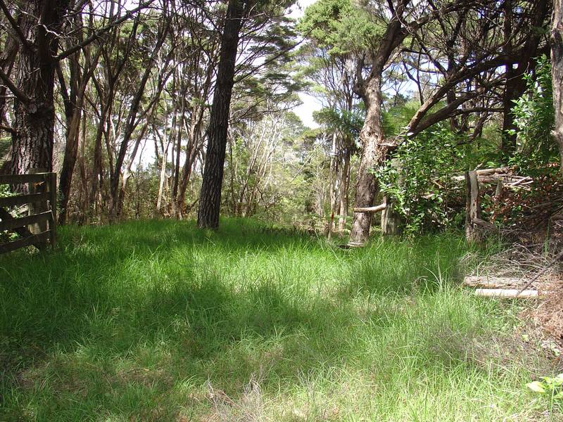 Window of Opportunity Picture 3