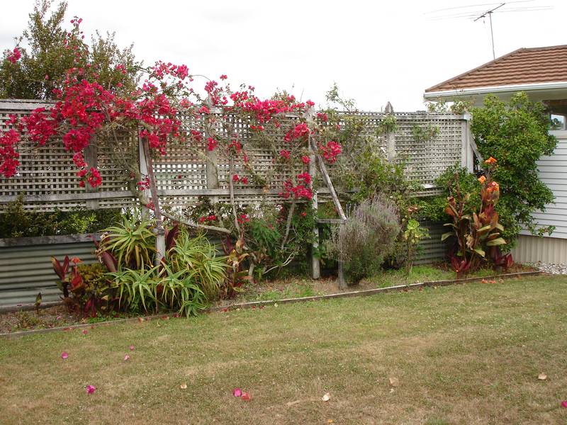 Invest in a Nest Picture 2