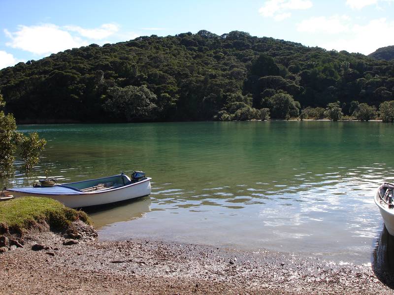 Absolute Waterfront Headland Picture 1