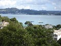 OVERLOOKING THE BAY - RUSSELL BAY OF ISLANDS EXCLUSIVE Picture OVERLOOKING THE BAY - RUSSELL BAY OF ISLANDS EXCLUSIVE Picture