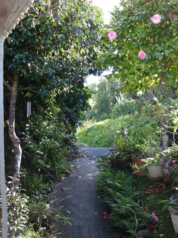SUNSETS AND SAILBOATS - RUSSELL BAY OF ISLANDS Picture 1