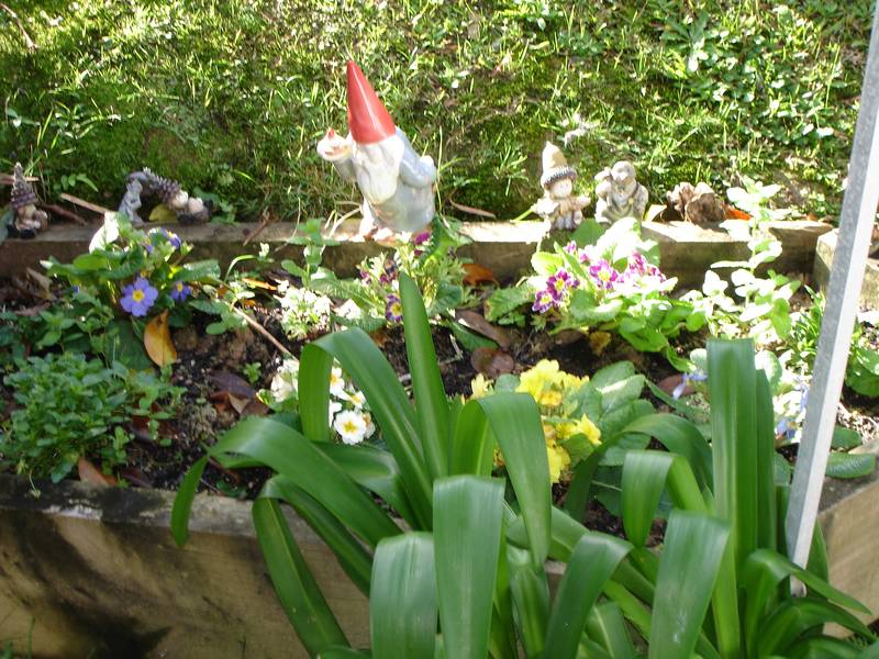 SUNSETS AND SAILBOATS - RUSSELL BAY OF ISLANDS Picture 3