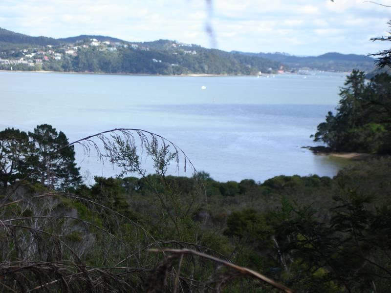 WOW! ACREAGE AND A WATER VIEW TOO! RUSSELL - BAY OF ISLANDS. Picture 1