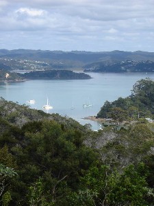 HIGH AND MIGHTY. VACANT LAND. RUSSELL - BAY OF ISLANDS. Picture