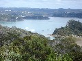 HIGH AND MIGHTY. VACANT LAND. RUSSELL - BAY OF ISLANDS. Picture