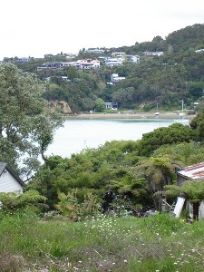 WATER VIEWS - EASY BUILD SITE -RUSSELL BAY OF ISLANDS Picture