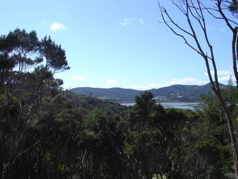 BARE LAND - TE WAHAPU RUSSELL BAY OF ISLANDS Picture 2