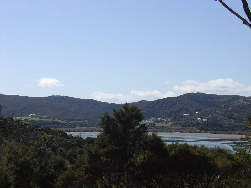 BARE LAND - TE WAHAPU RUSSELL BAY OF ISLANDS Picture 1