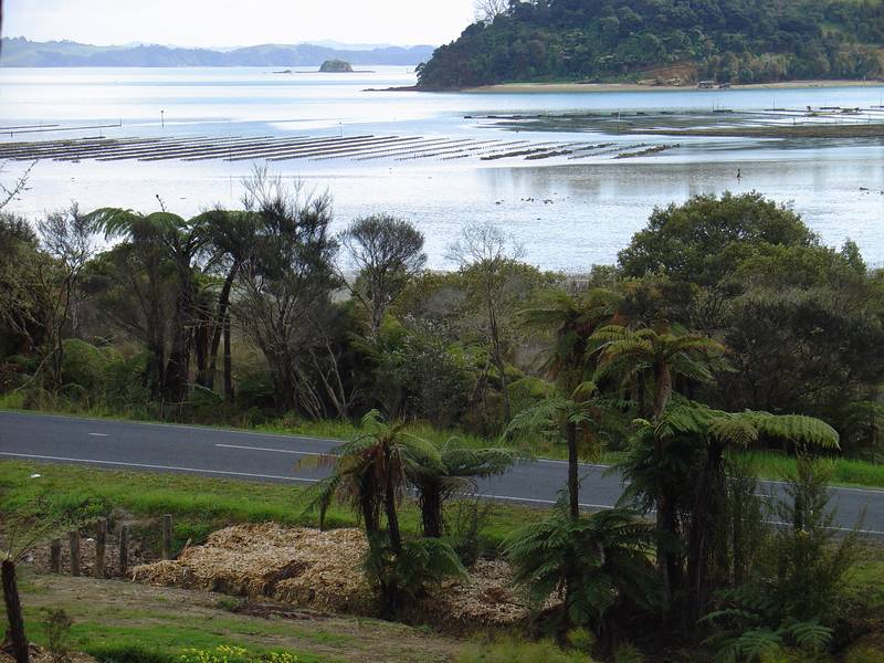 BUILD FOR THE VIEW Picture 3